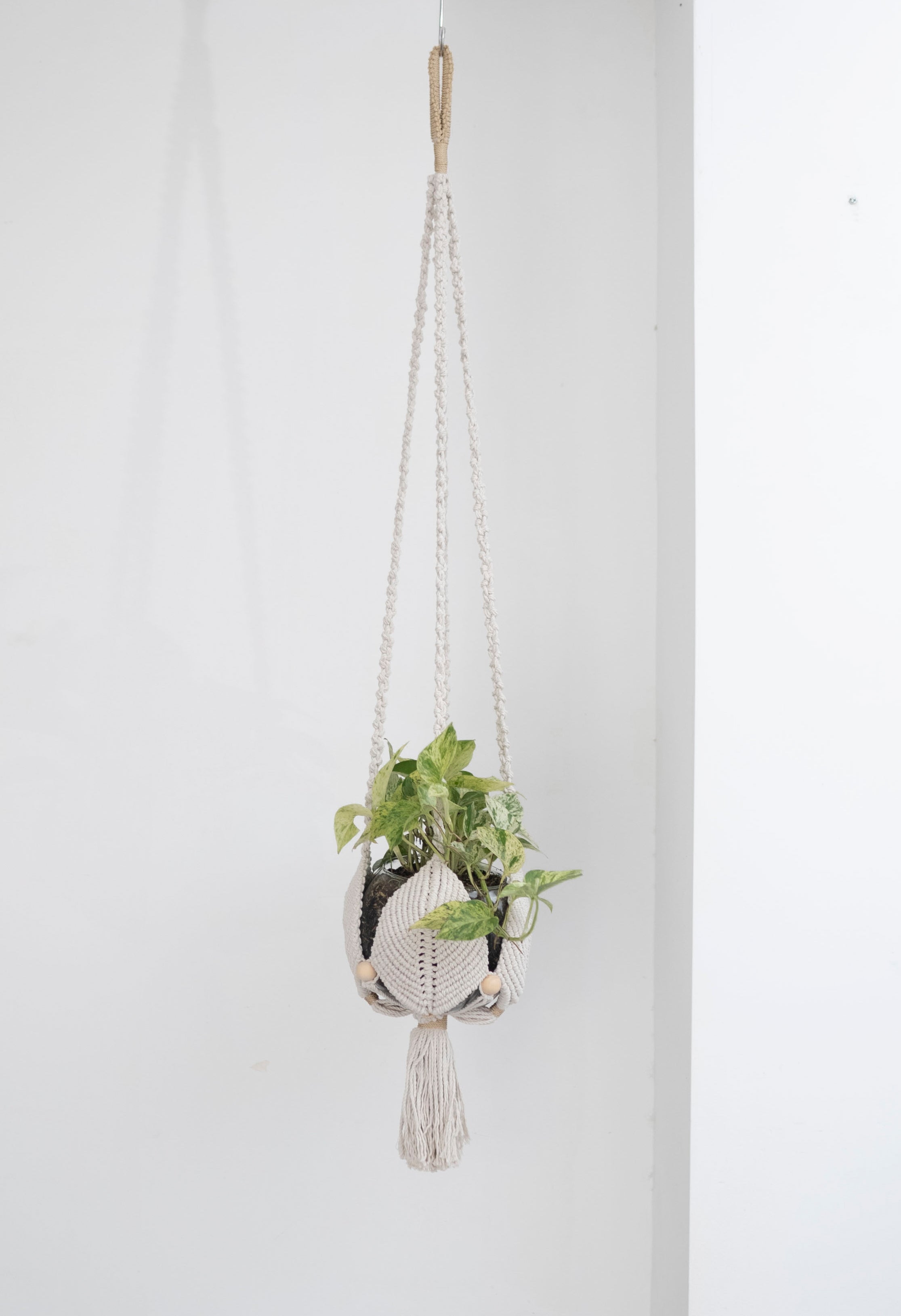 Leaves Plant Hanger