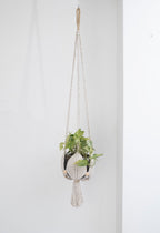 Leaves Plant Hanger