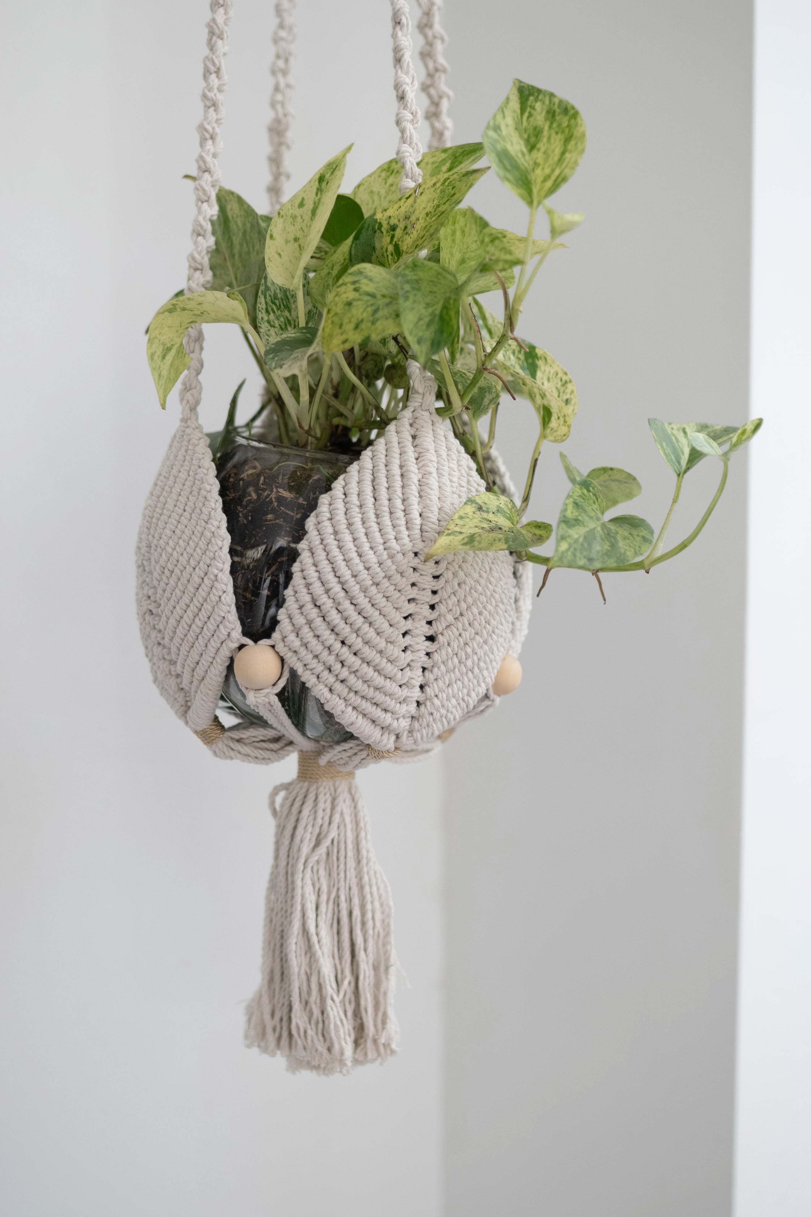 Leaves Plant Hanger
